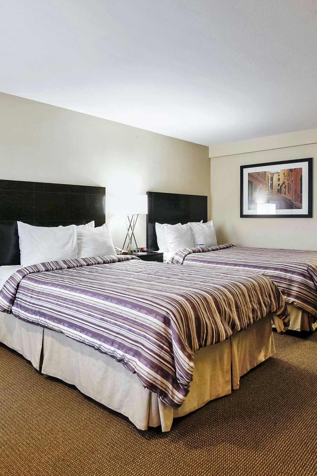 Hotel Grand Legacy At The Park photo 5