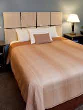 Hotel Sonesta Simply Suites Parsippany Morris Plains photo 2