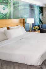 Hotel The Domain Hotel photo 2