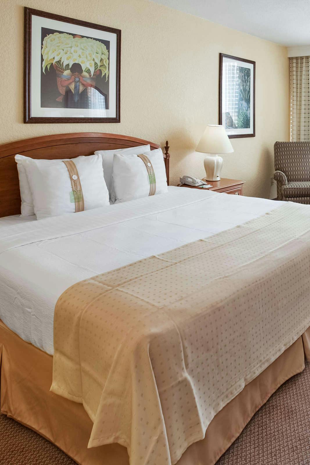 Hotel Holiday Inn Mayaguez & Tropical Casino photo 1