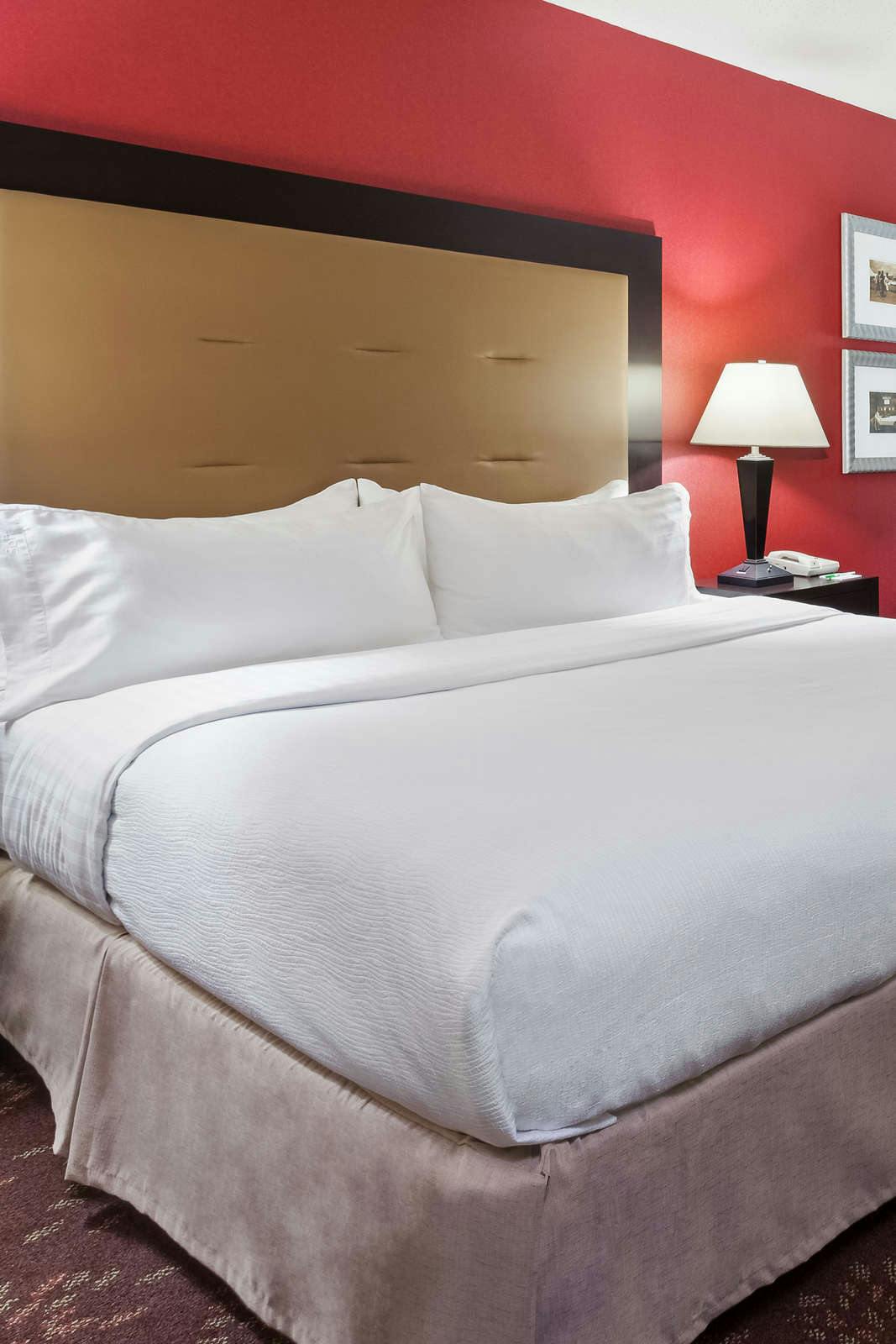 Hotel Holiday Inn Cincinnati Airport, an IHG Hotel photo 2