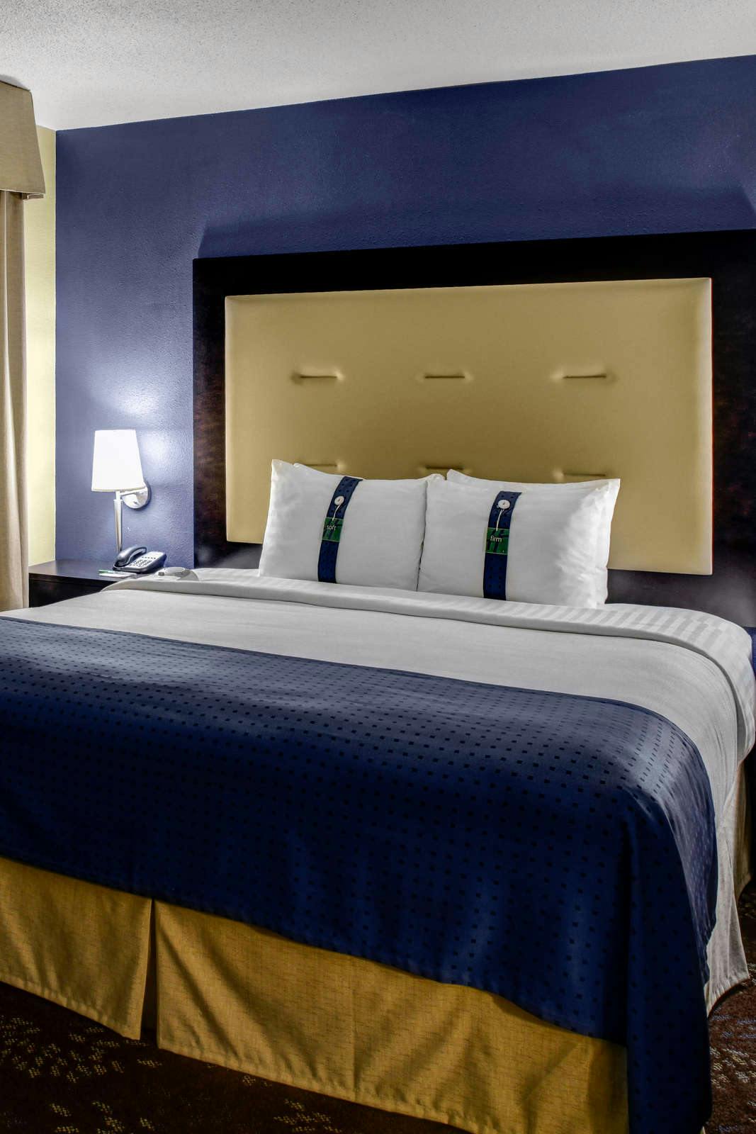 Hotel Holiday Inn Indianapolis Carmel photo 1