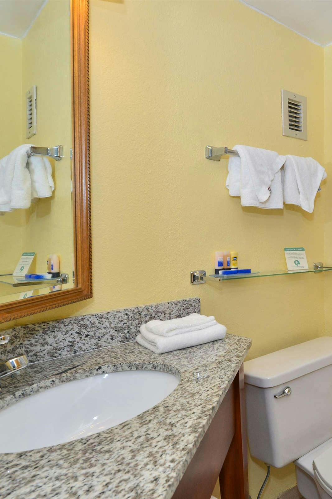 Hotel Best Western Plus Richmond Airport Hotel photo 4