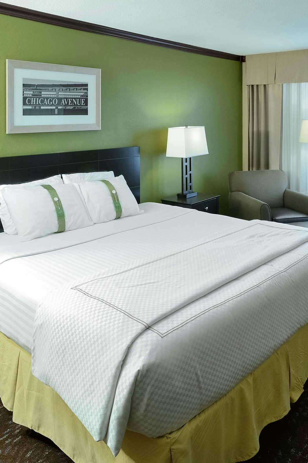 Hotel Holiday Inn Chicago Oakbrook photo 1