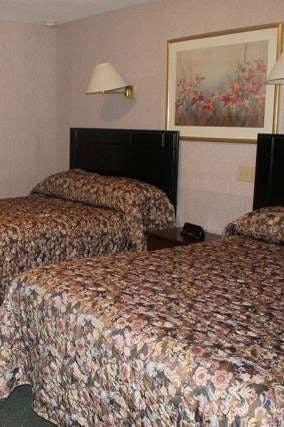 Hotel Travellers Inn Prince Edward I photo 2