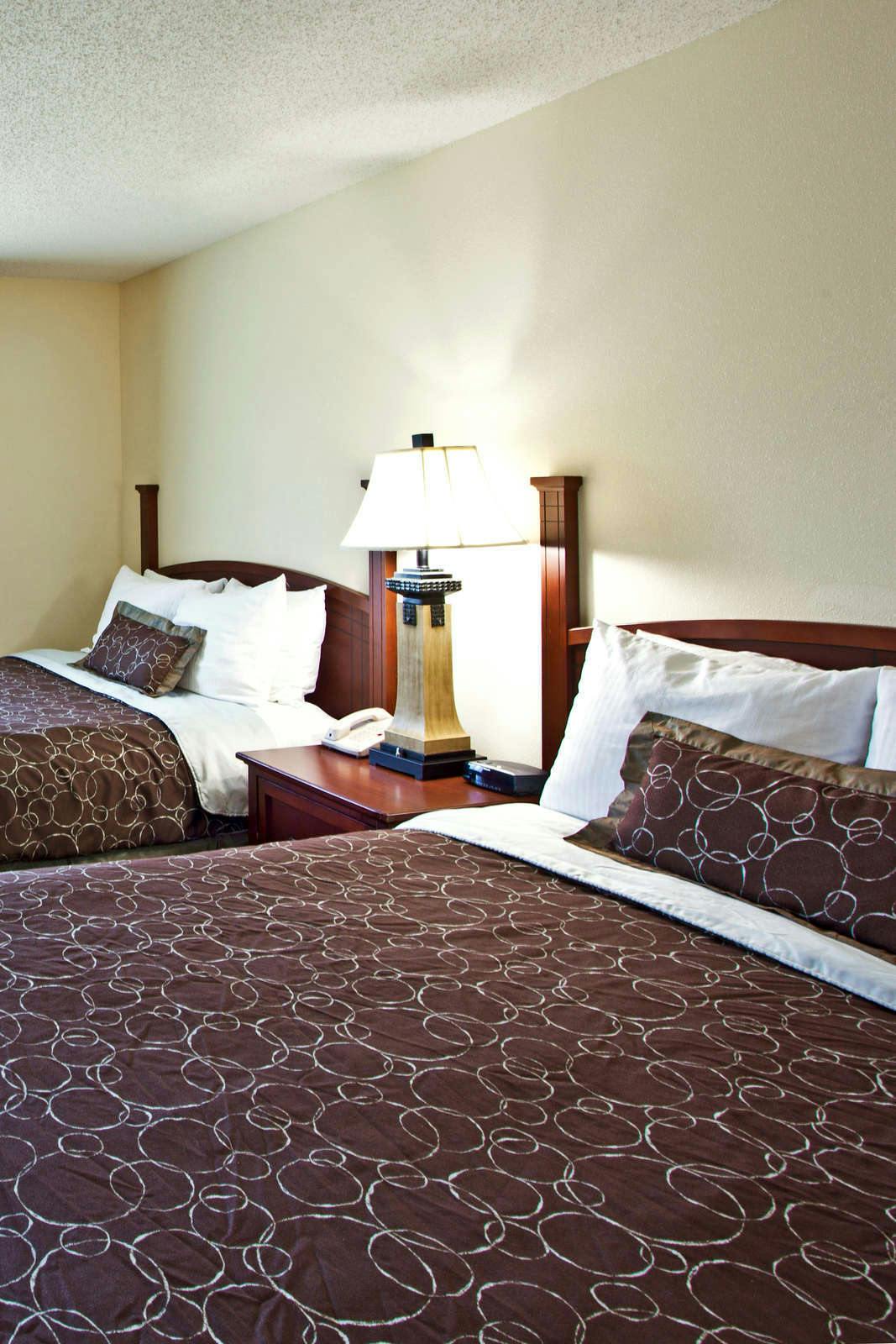 Hotel Staybridge Suites Tampa East Brandon photo 2