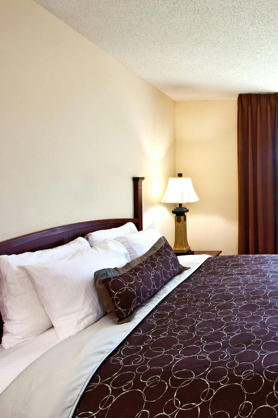 Hotel Staybridge Suites Tampa East Brandon photo 1