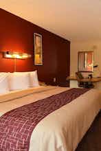 Hotel Red Roof Inn San Antonio - Airport photo 1