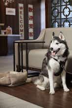 Hotel Fairfield Inn DC Downtown photo 1