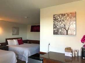 Hotel Atlantic Coast Inn photo 4