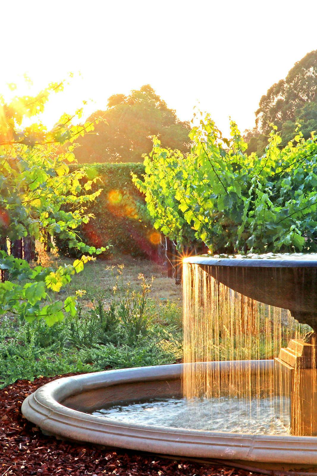 Hotel Napa Valley Lodge photo 4