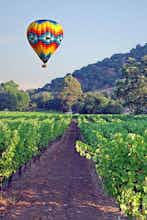 Hotel Napa Valley Lodge photo 5