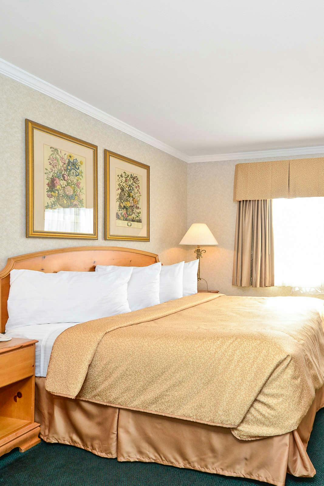 Hotel Magnuson Grand Pioneer Inn and Suites photo 2