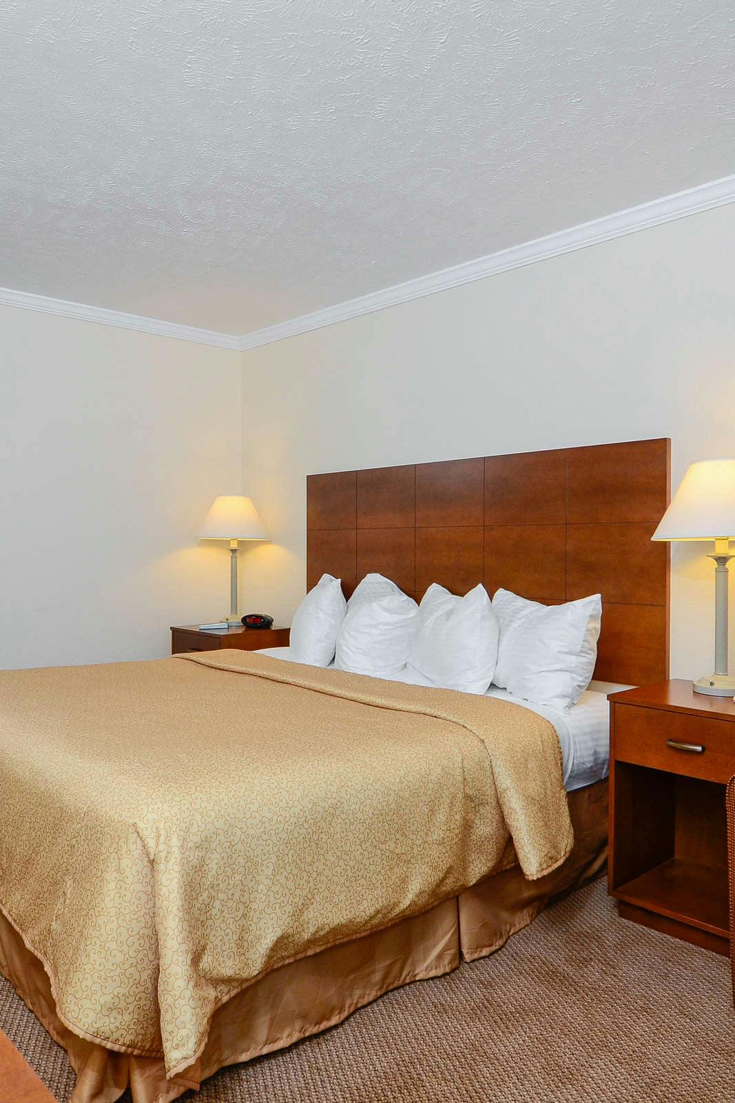 Hotel Magnuson Grand Pioneer Inn and Suites photo 4