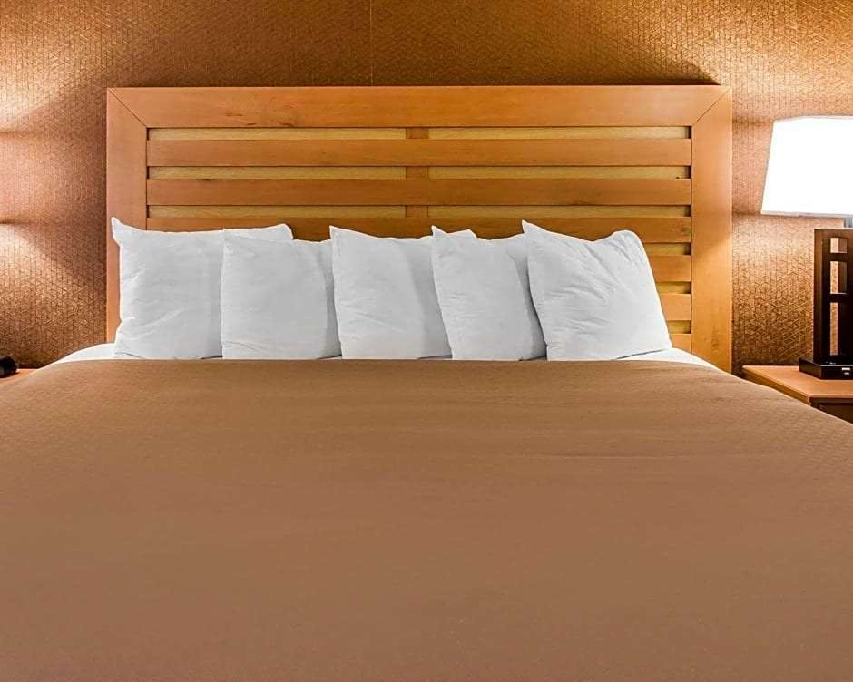 Hotel Quality Inn & Suites Warren - Detroit photo 4