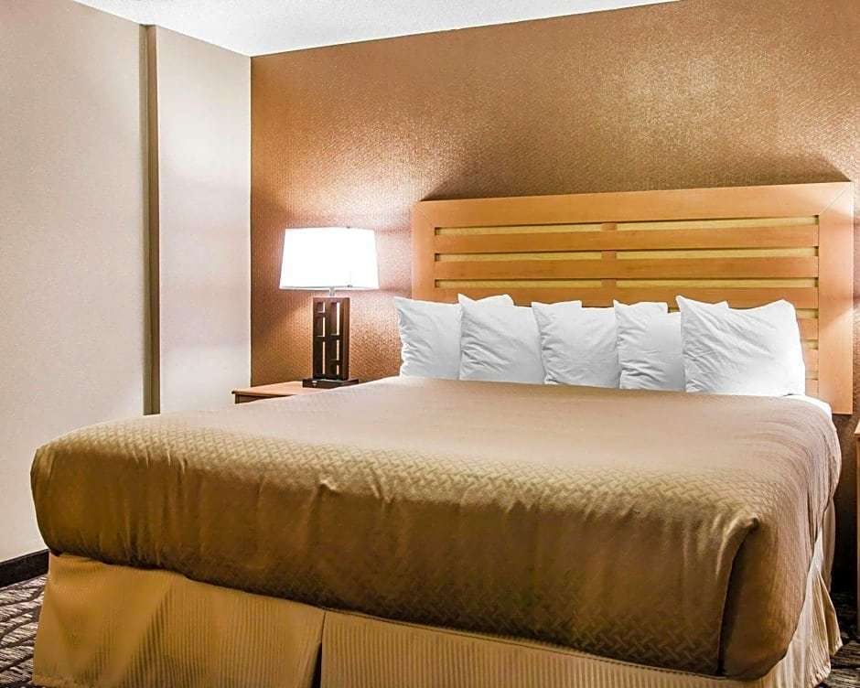 Hotel Quality Inn & Suites Warren - Detroit photo 5