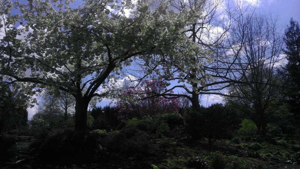 Hotel Oregon Garden Resort photo 5