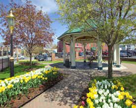 Hotel Hilton Garden Inn Saratoga Springs photo 1