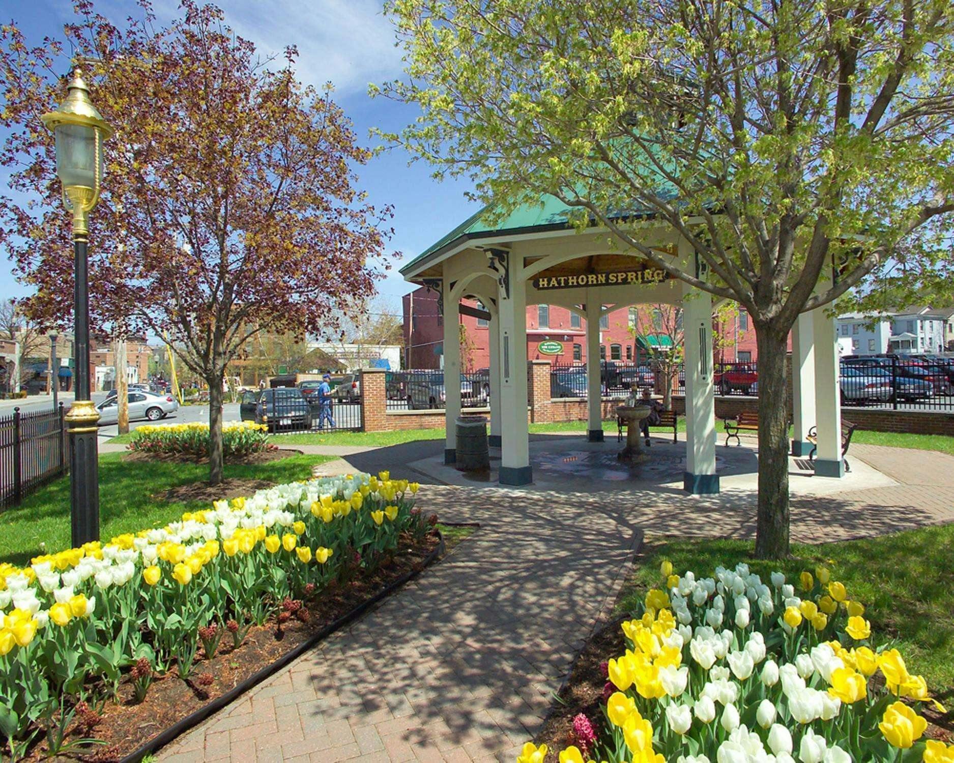 Hotel Hilton Garden Inn Saratoga Springs photo 2