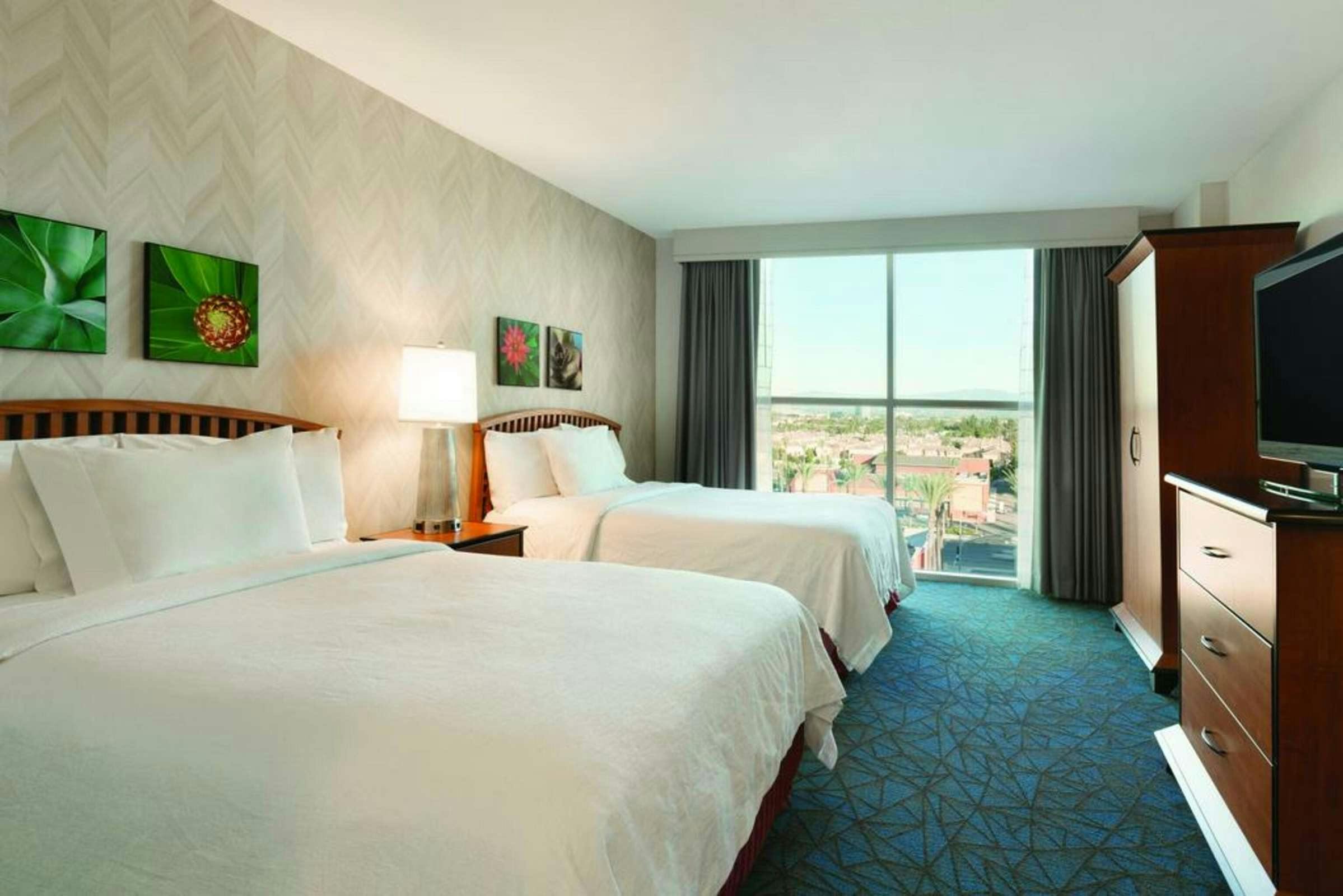 Hotel Embassy Suites by Hilton Anaheim South photo 2