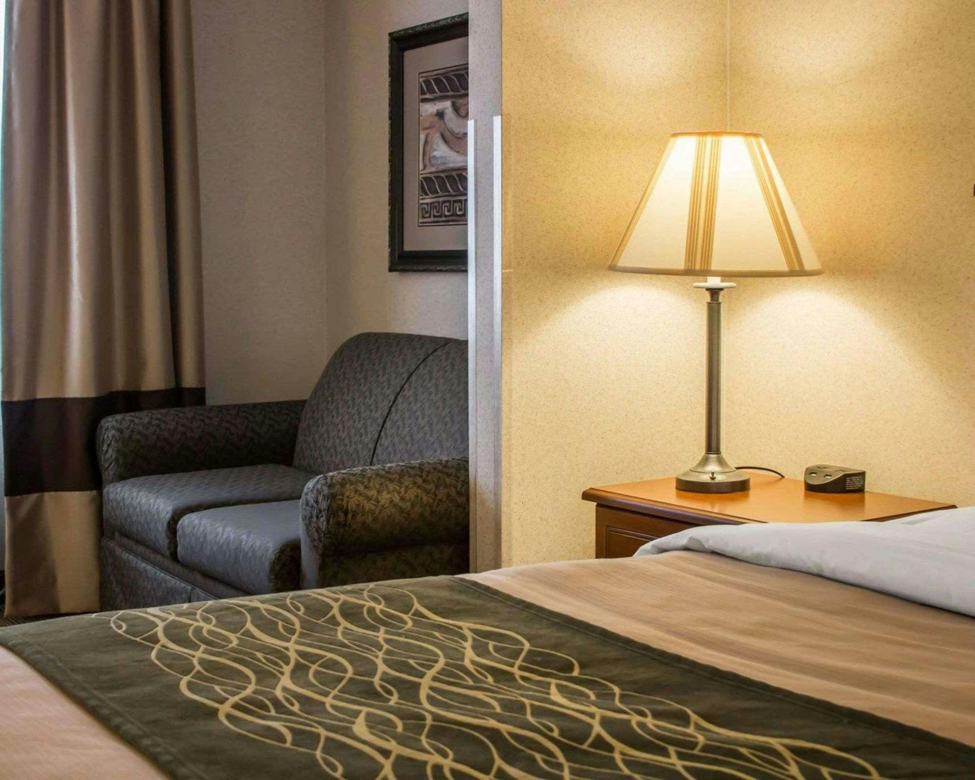 Hotel Comfort Inn & Suites Dimondale - Lansing photo 2