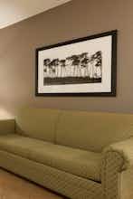 Hotel Garner Hotel Paducah West by IHG photo 5