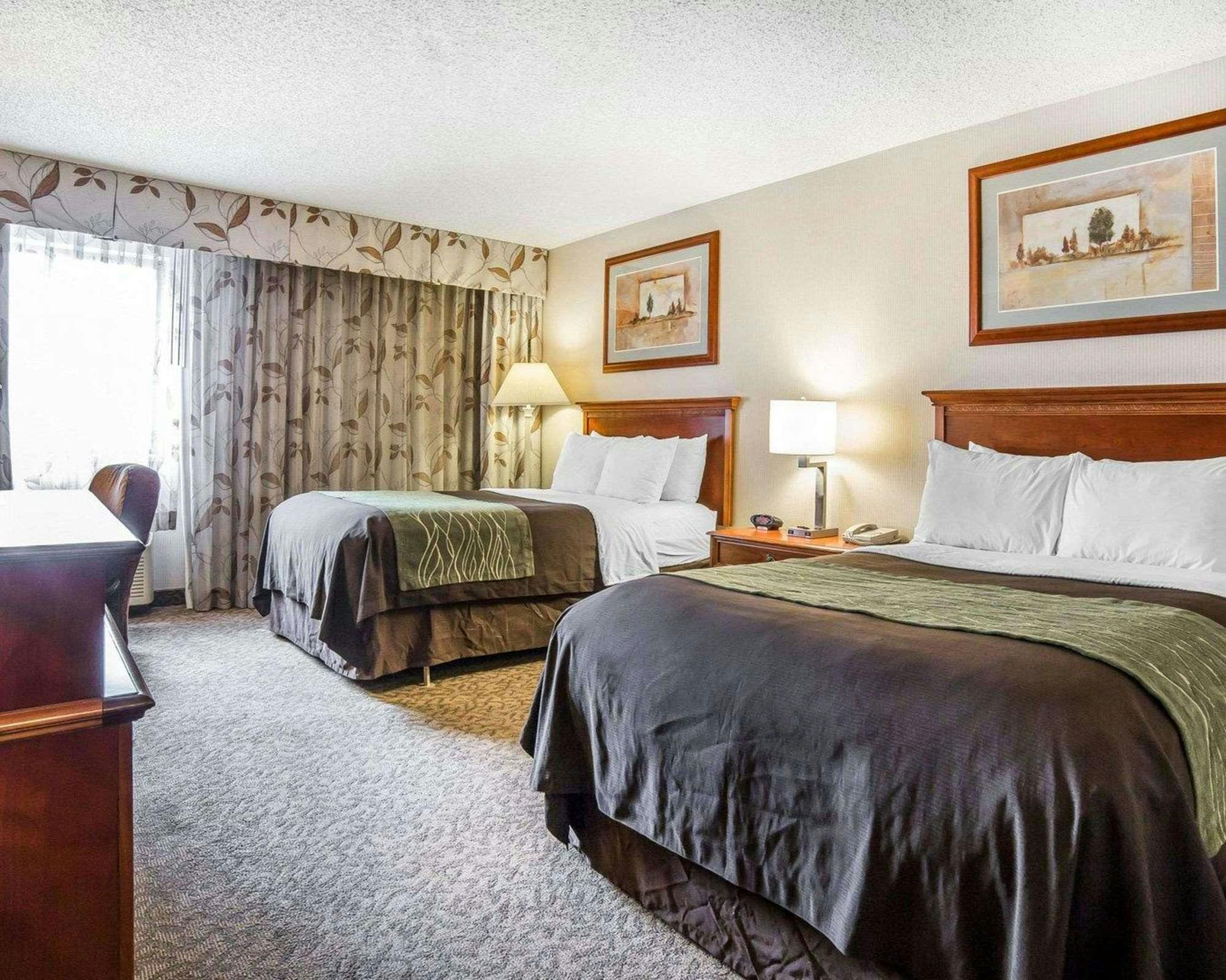 Hotel Comfort Inn by Choice Hotels photo 3