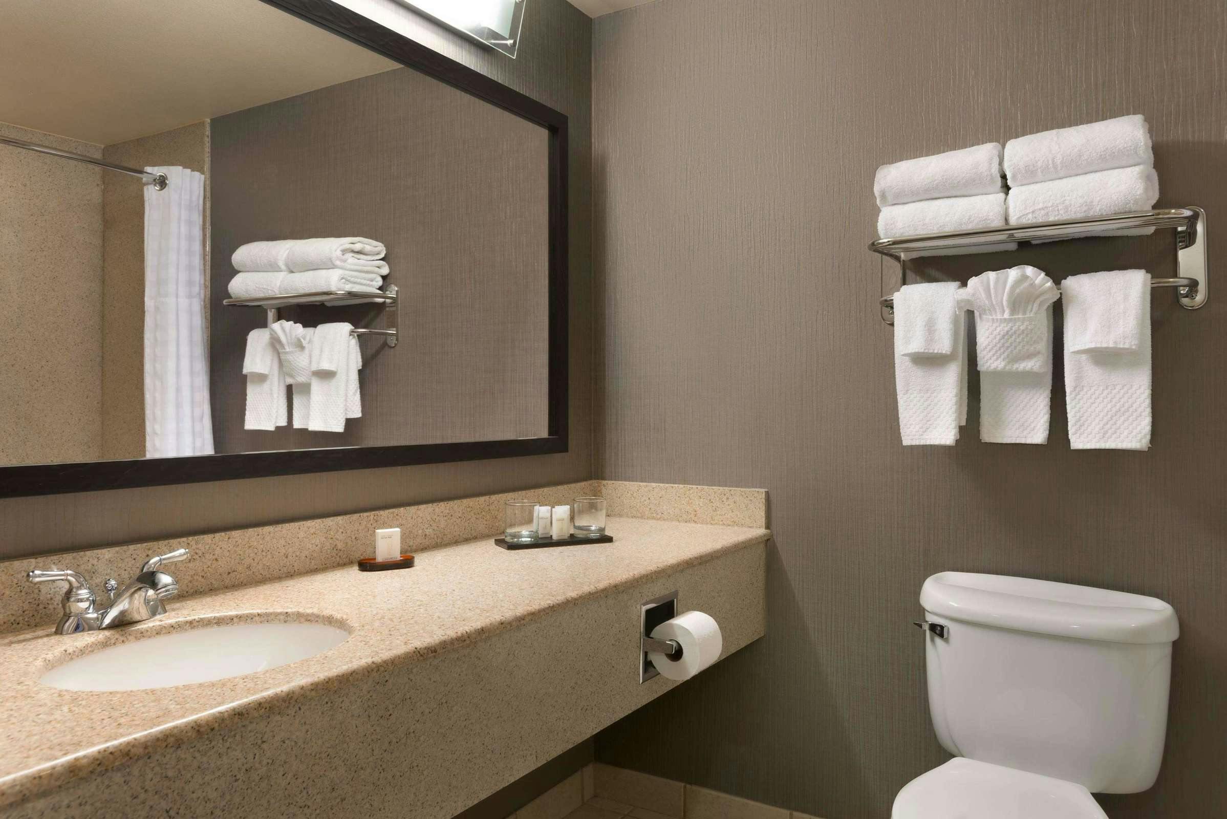 Hotel Embassy Suites by Hilton Franklin Cool Springs photo 4