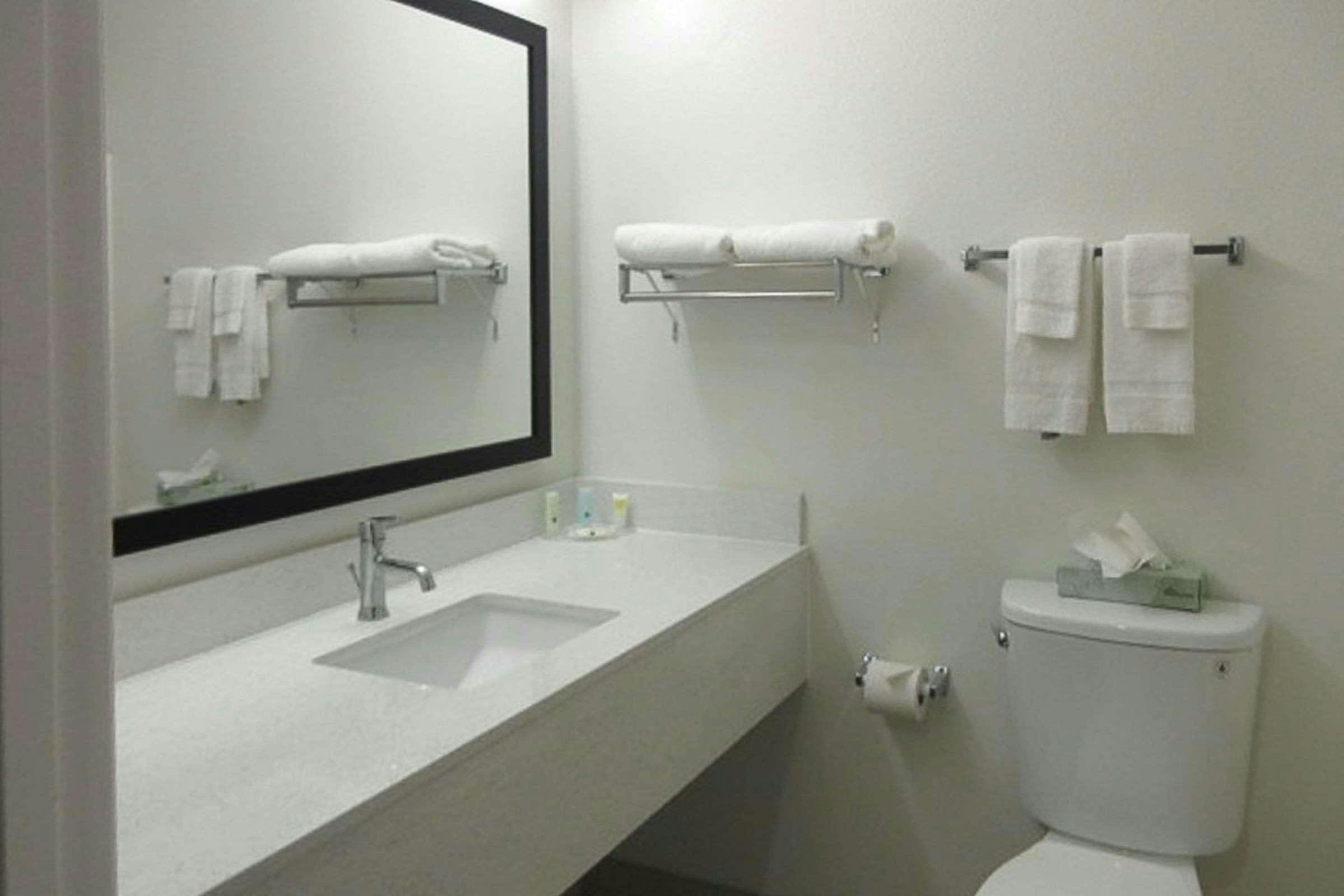 Hotel Quality Inn & Suites photo 3