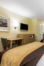 Hotel Comfort Inn Beach/Boardwalk Area photo 3