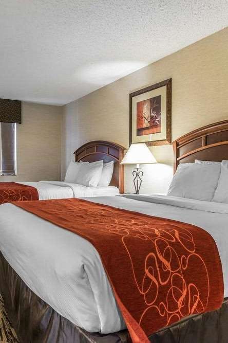 Hotel Comfort Suites At Evergreen Parkway photo 2