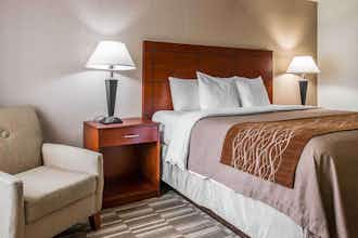 Hotel Comfort Inn & Suites University South photo 2