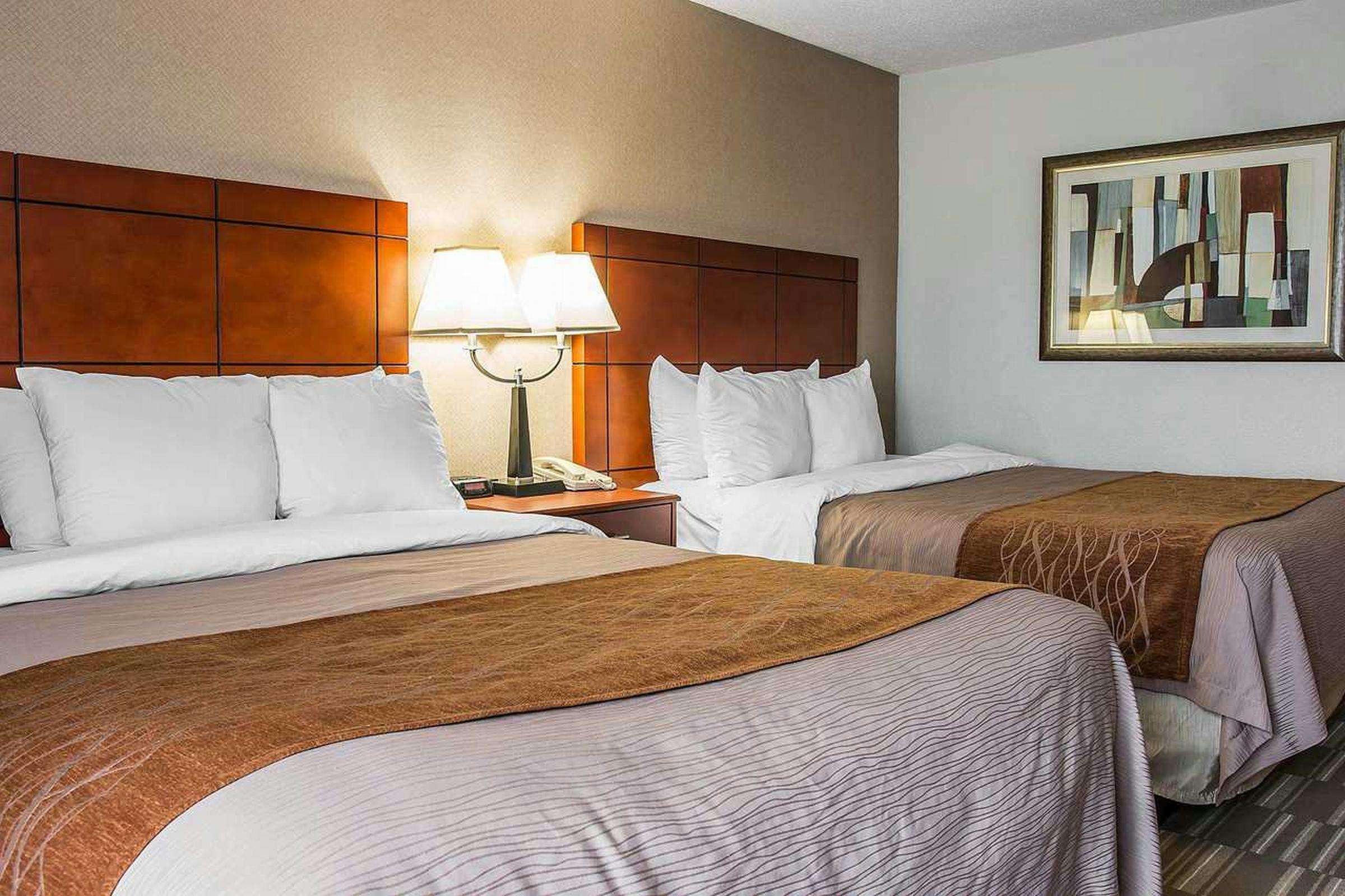 Hotel Comfort Inn & Suites University South photo 3