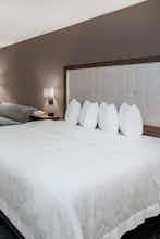 Hotel HAMPTON INN AND SUITES SAN MARCOS photo 3