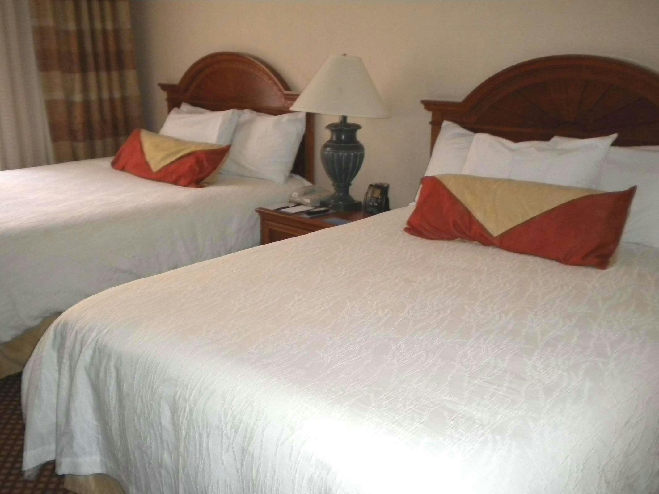 Hotel Hilton Garden Inn Williamsburg photo 1