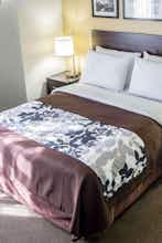 Hotel Sleep Inn Tinley Park I-80 near Amphitheatre-Convention Center photo 1