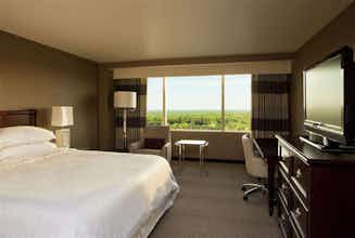 Hotel Sheraton Tysons Hotel photo 3