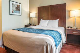 Hotel Comfort Inn Lacey - Olympia photo 3