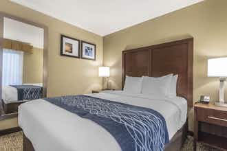 Hotel Comfort Inn Sunnyvale - Silicon Valley photo 1