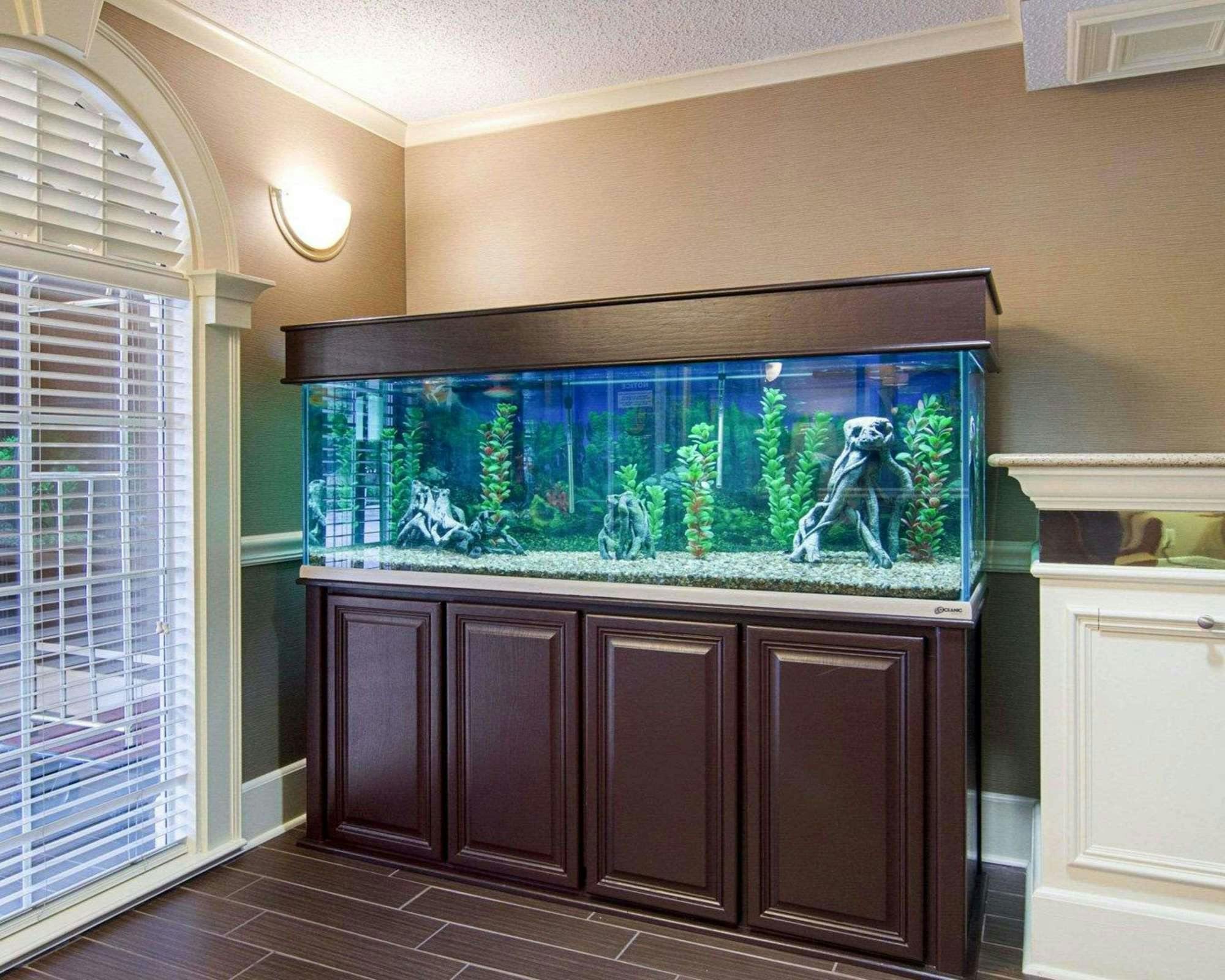 Hotel Quality Inn & Suites Little Rock West photo 5