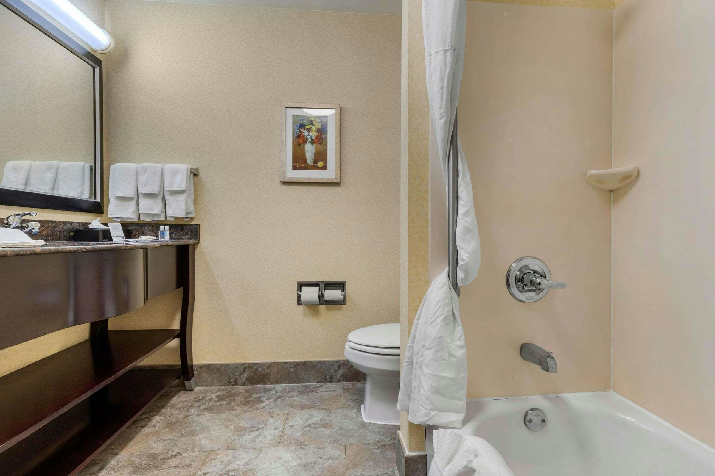 Hotel Comfort Inn & Suites Camden, SC photo 5