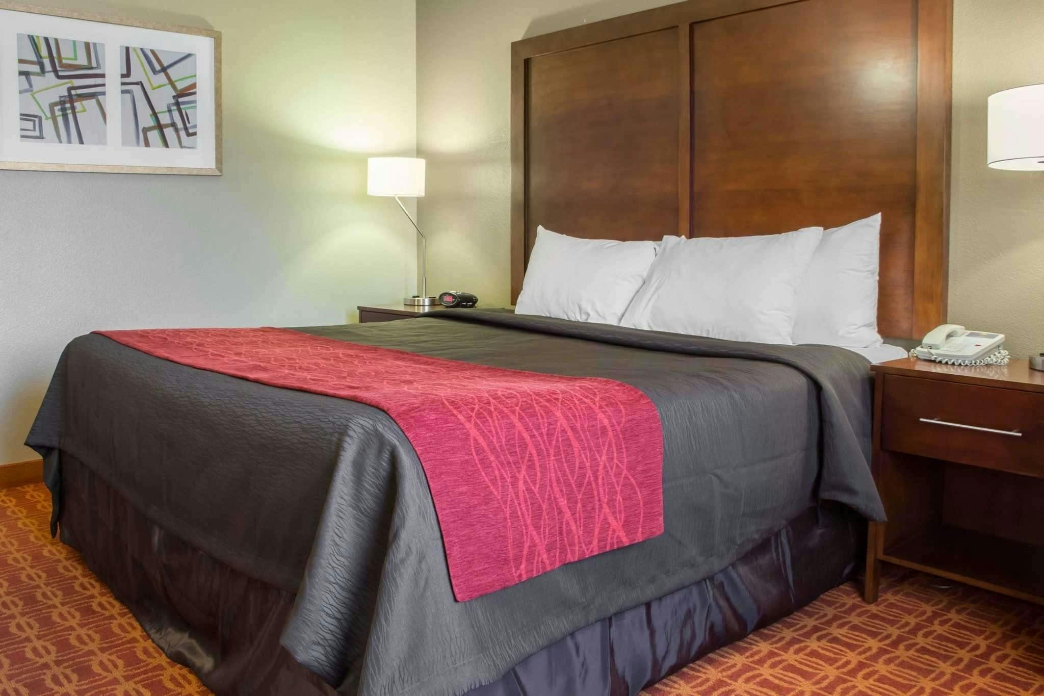 Hotel Comfort Inn & Suites near Kino Sports Complex photo 1