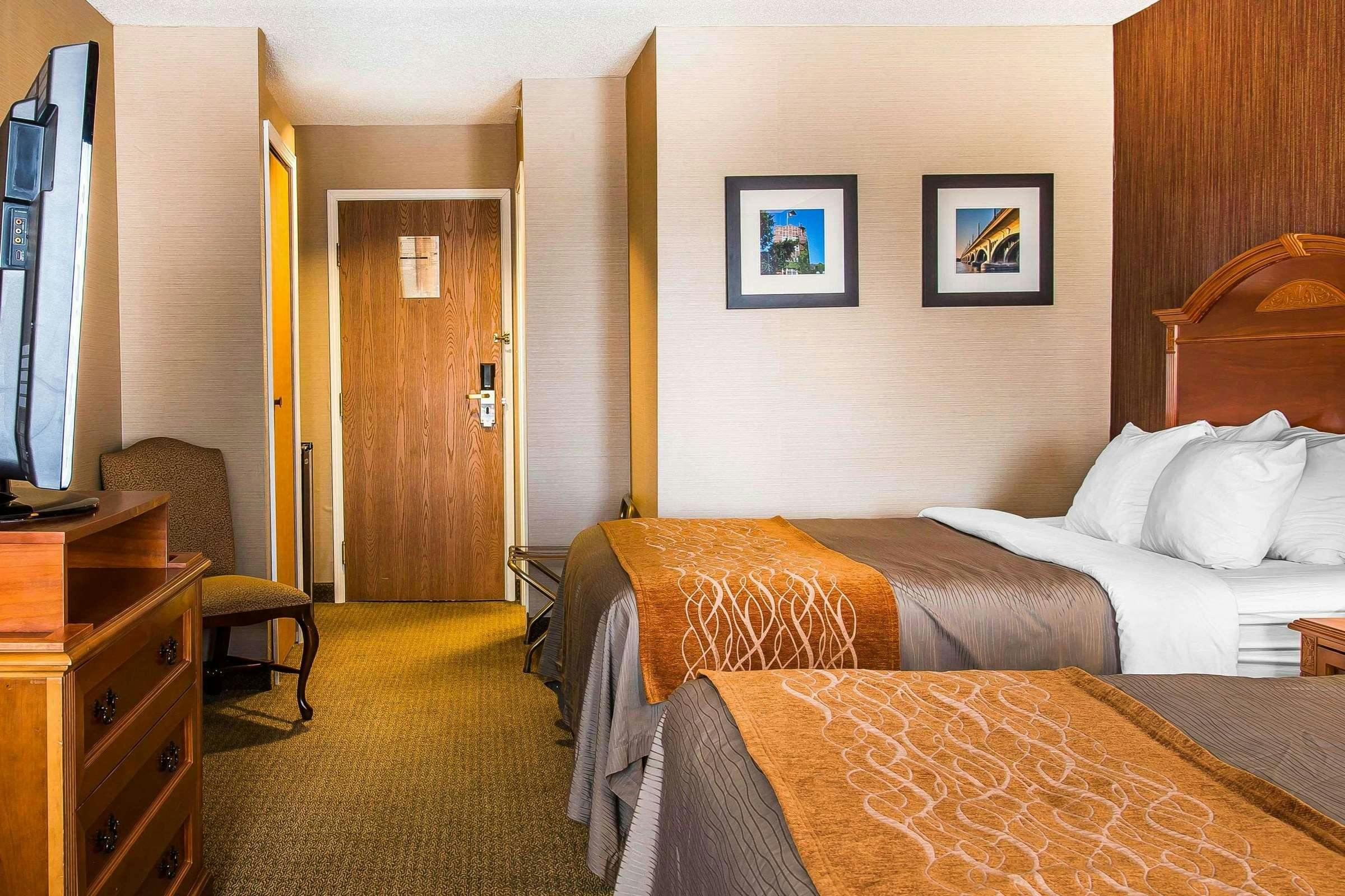 Hotel Comfort Inn Chelsea, MI photo 1