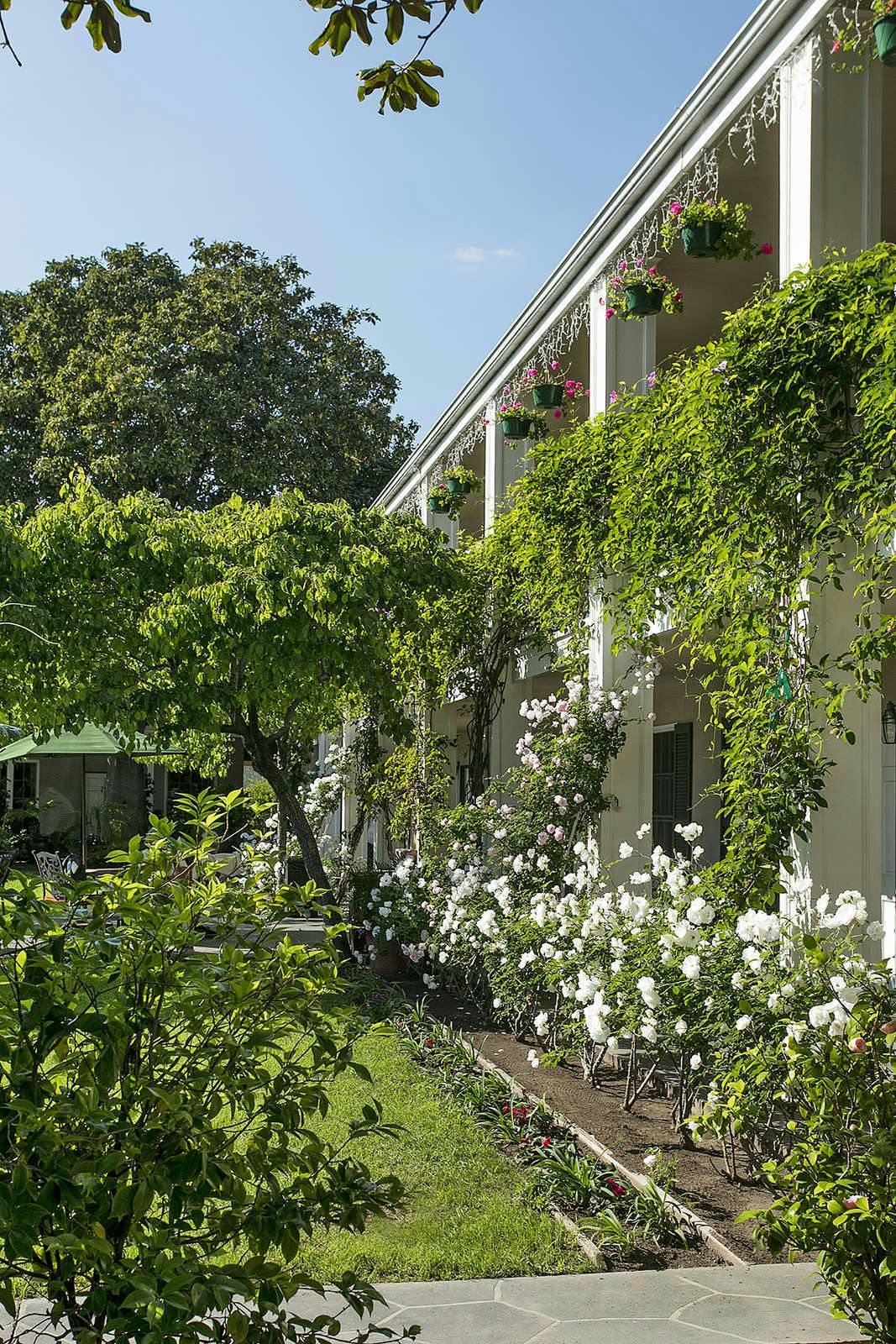 Lavender Inn By The Sea Santa Barbara Carpinteria Hoteltonight