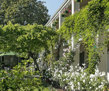 Lavender Inn By The Sea Santa Barbara Carpinteria Hoteltonight