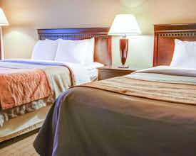 Hotel Quality Inn Florence photo 5