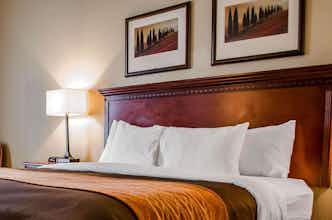 Hotel Comfort Inn & Suites Daphne Spanish Fort - Mobile East photo 4