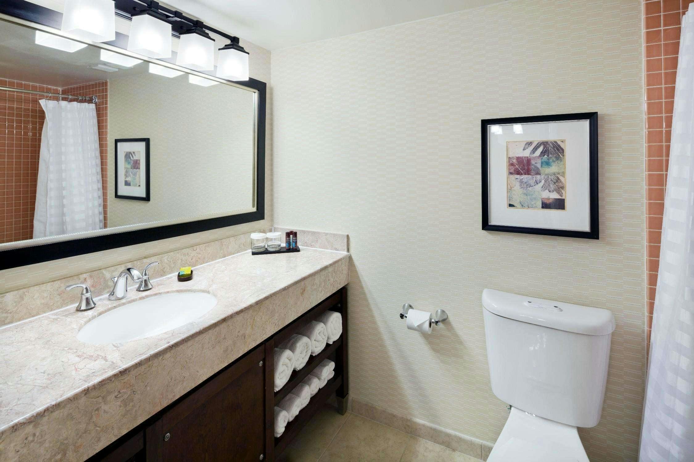 Hotel Embassy Suites by Hilton Milpitas Silicon Valley photo 3