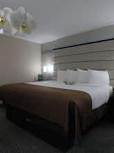 Hotel Holiday Inn Plainview Long Island photo 1