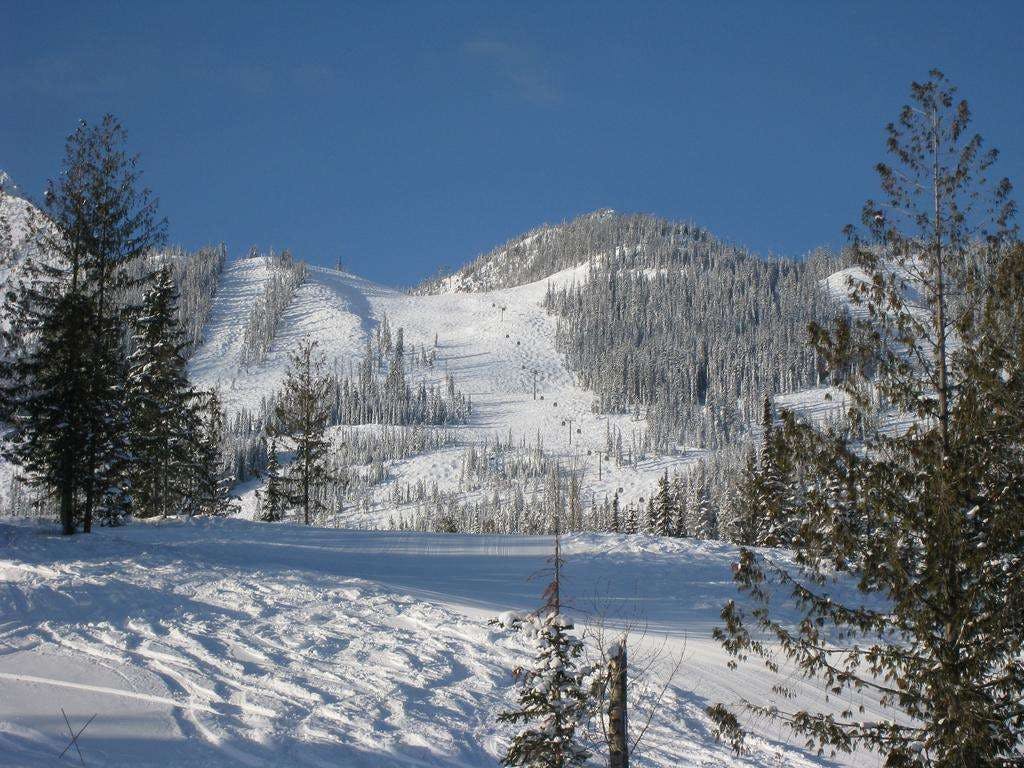 Hotel The Palliser Lodge photo 3